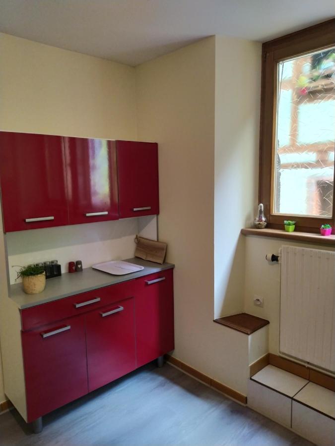Villa chey MYBAM, agréable maison au centre de Sélestat Extérieur photo