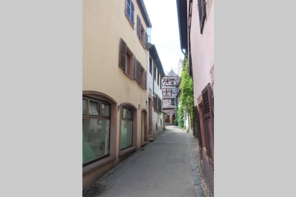 Villa chey MYBAM, agréable maison au centre de Sélestat Extérieur photo